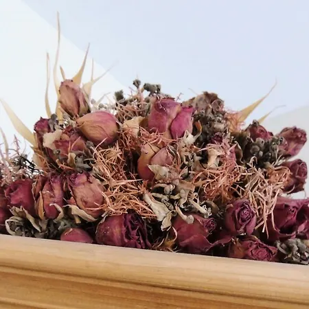 L'ancienne Forge Gaillac-d'Aveyron