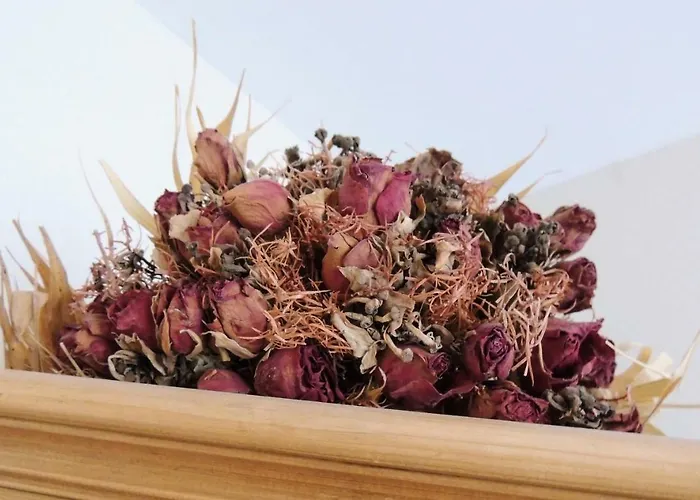 L'ancienne Forge Gaillac-d'Aveyron